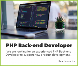 PHP Developer job